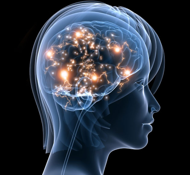 La neurociencia y su vínculo con la emoción